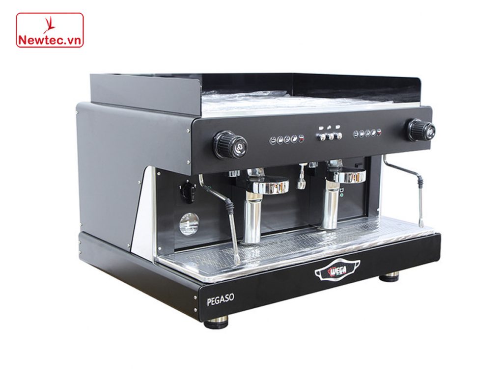 wega-pegso-2a