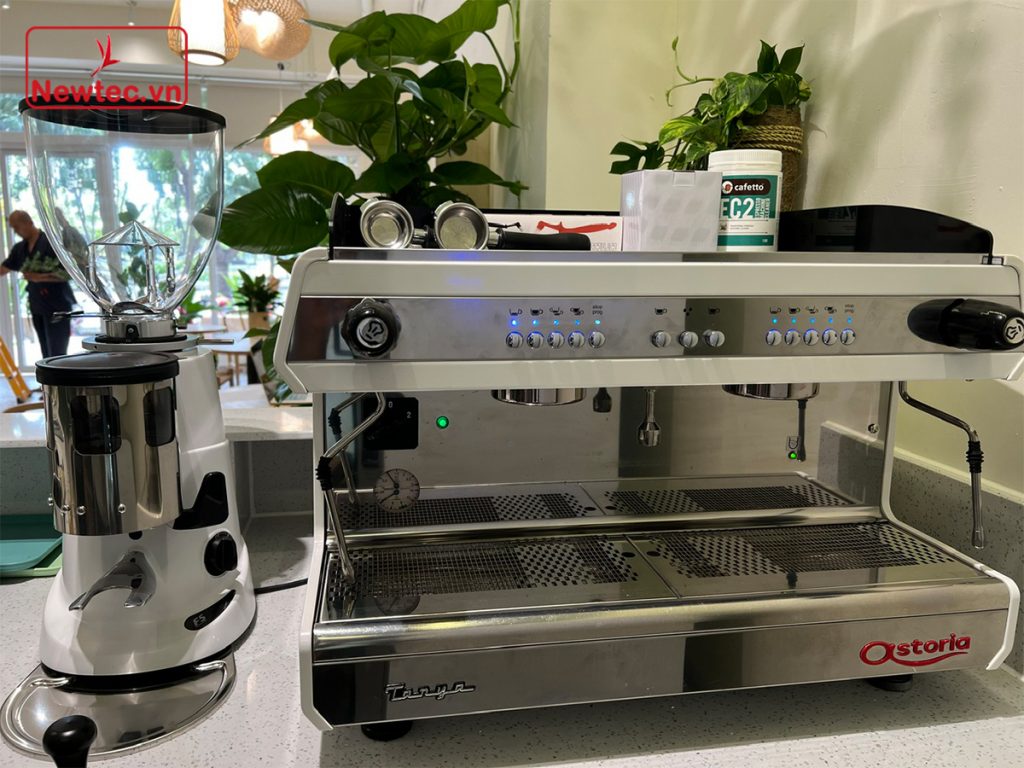 astoria-tanya-newtec-2