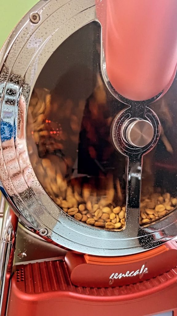 Gene-Roaster-VR-P500-1